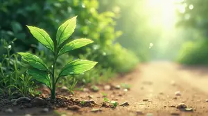 Chemen kado revolisyon Kadanse nou