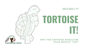 Tortoise it wisely with SBI!. Thive and earn mindfully!