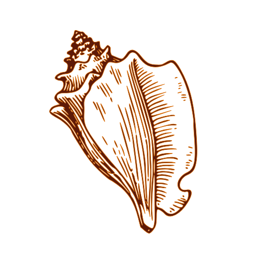 kon lambi neg mawon emoji