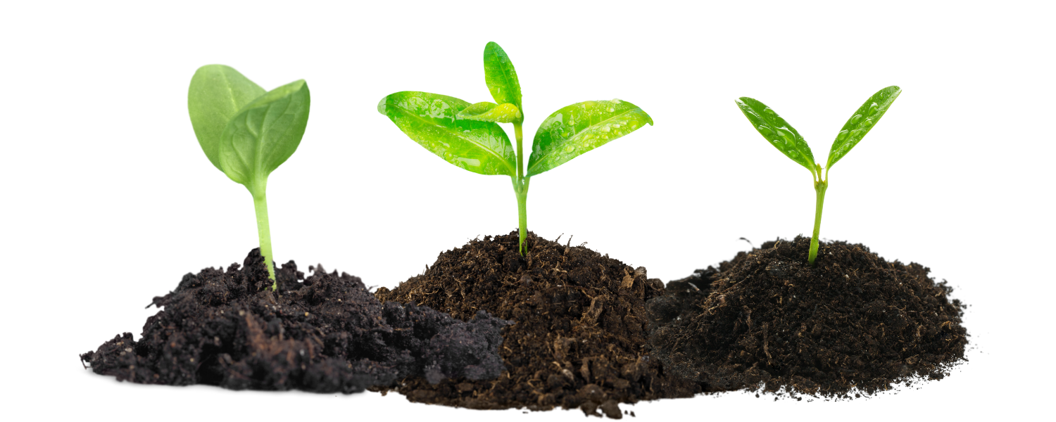 natural healing remedies | Jwenn solisyon ansyen pou pwoblèm jodi a |  Accède à des solutions anciennes pour les problèmes d’aujourd’hui | Access ancient holistic health solutions for modern problems with natural health remedies|