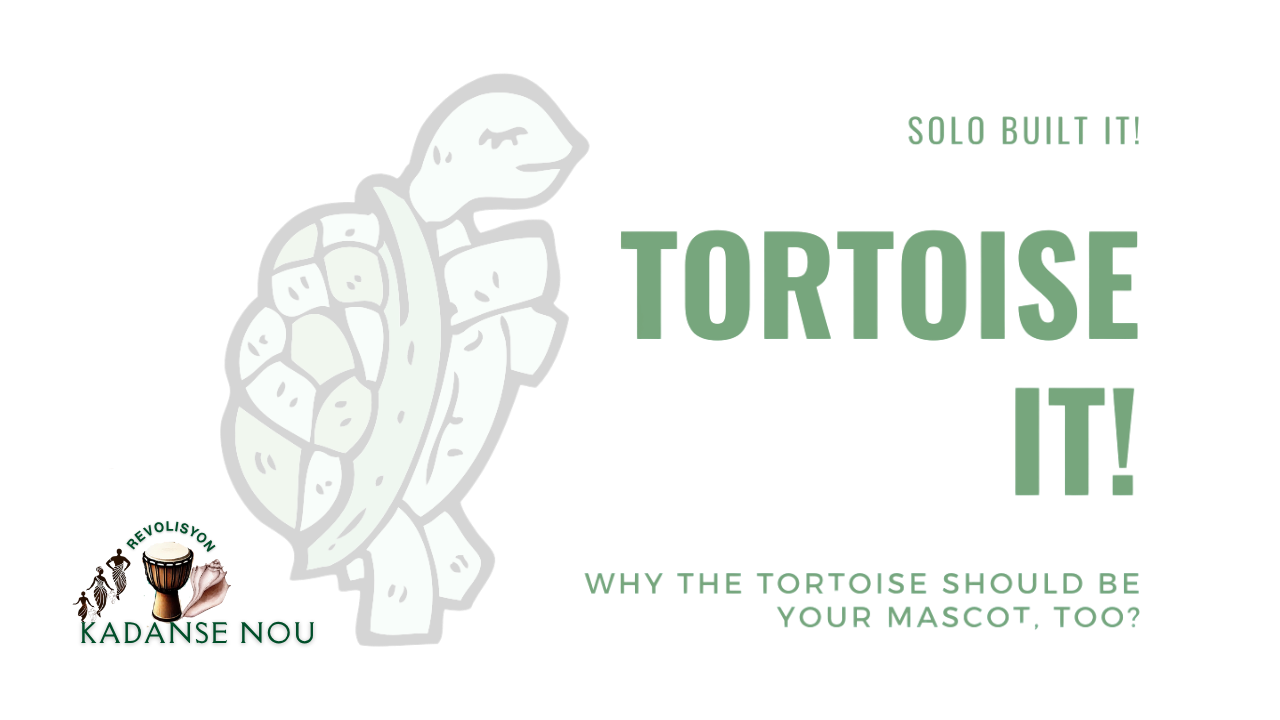 Starting a business online the smart way matters to thrive and earn mindfully, the Tortoise way, with Solo Built It! (SBI!).